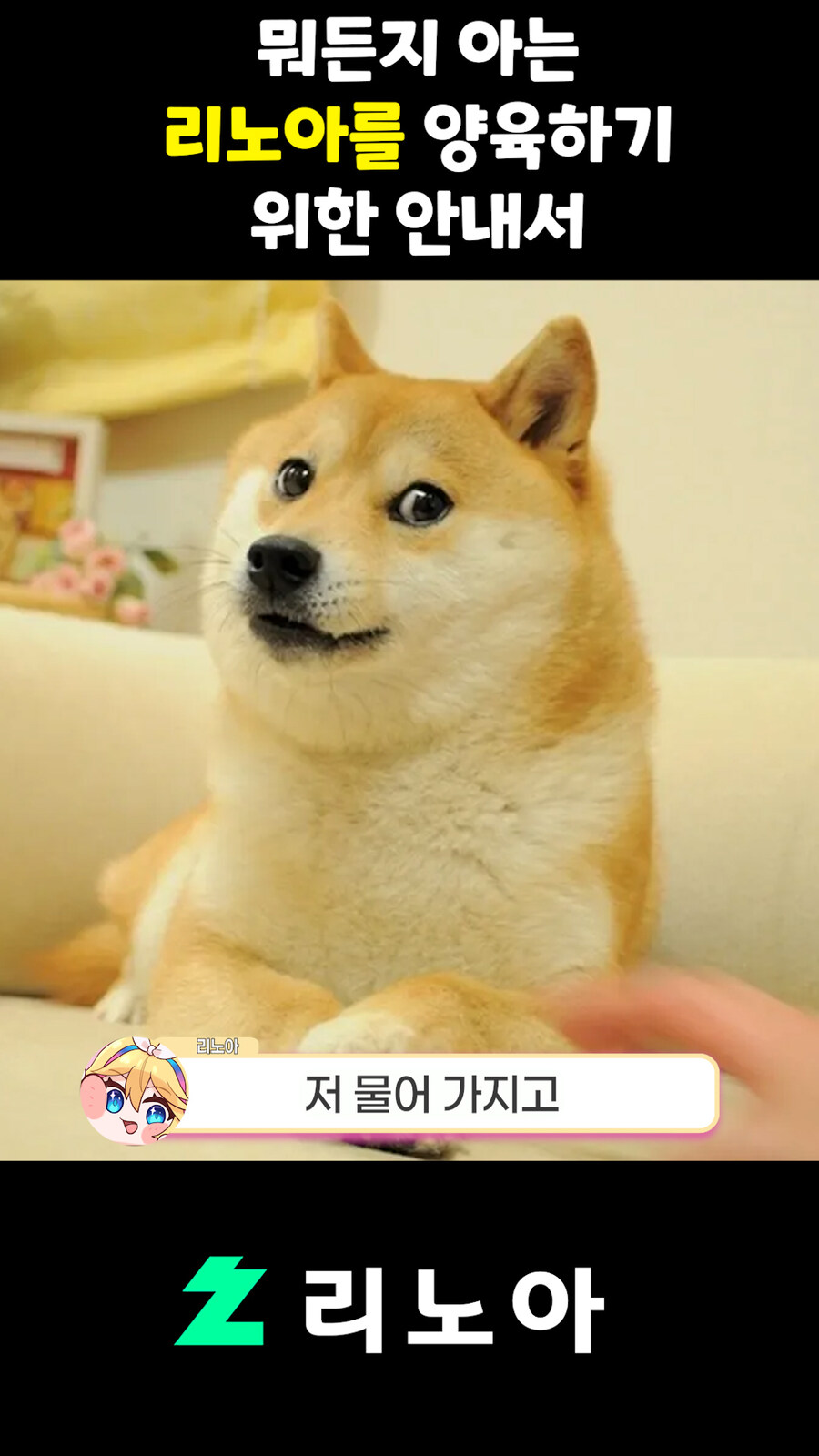 근튜버,버튜버) 뭐든지 아는 리노아를 양육하기 위한 안내서_10.jpg