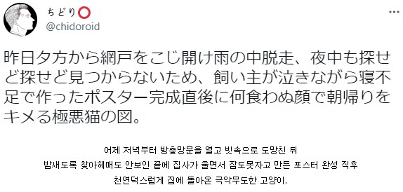가출한 고양이를 찾을려고 전단지를 만들던 도중에.png_1.png