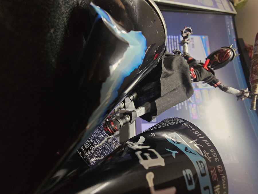 메갈로마리아 '스케반'_9.jpg