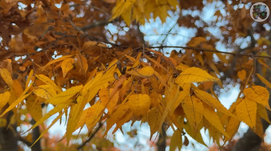 한국에 놀러온 일본인 바이커_36.jpg