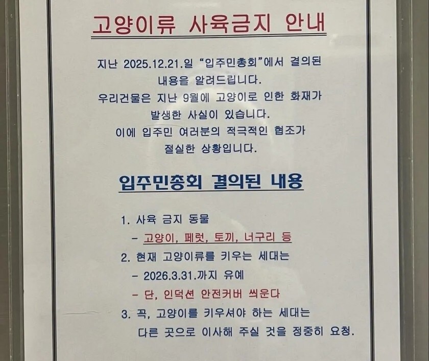 고양이사육 금지당한 오피스텔_1.jpg