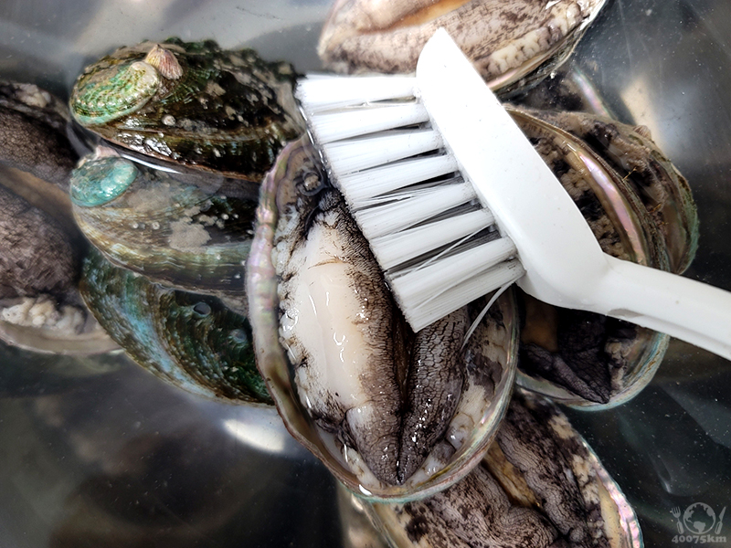 전복죽과 전복찜을 만들었습니당_2.jpg