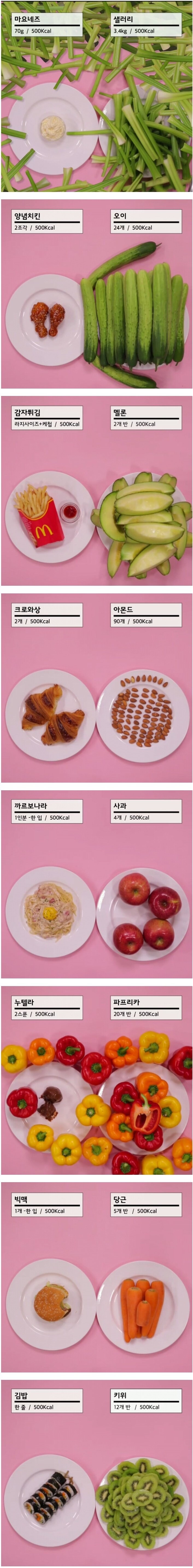 500칼로리로 보는 음식의 양_1.jpg