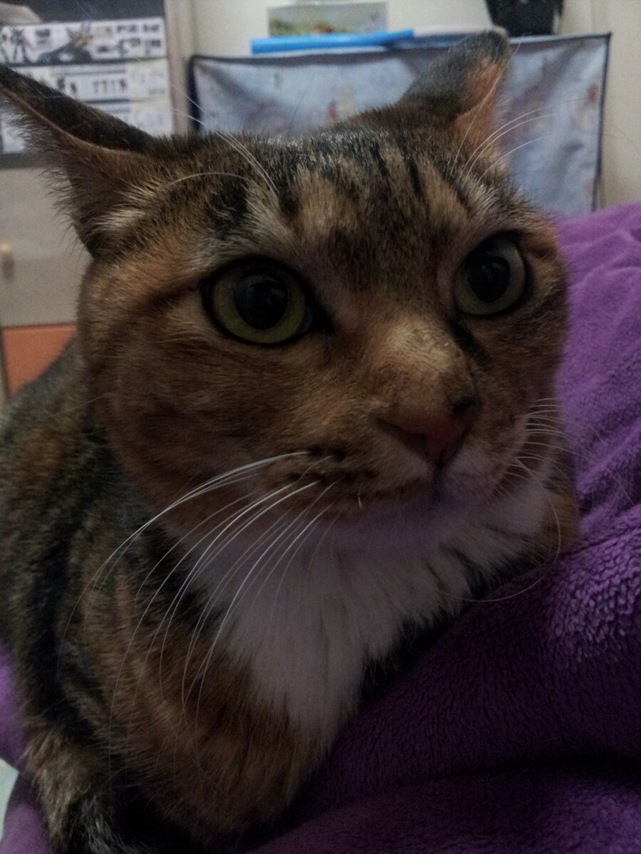 [26학번 새내기] 안녕하새오~ 새내기애오_6.jpg