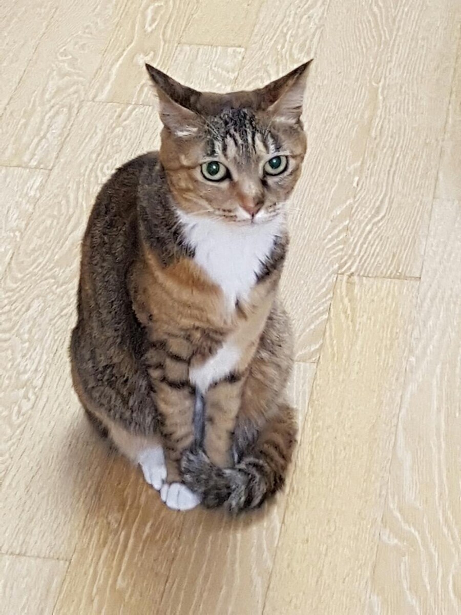 [26학번 새내기] 안녕하새오~ 새내기애오_10.jpg