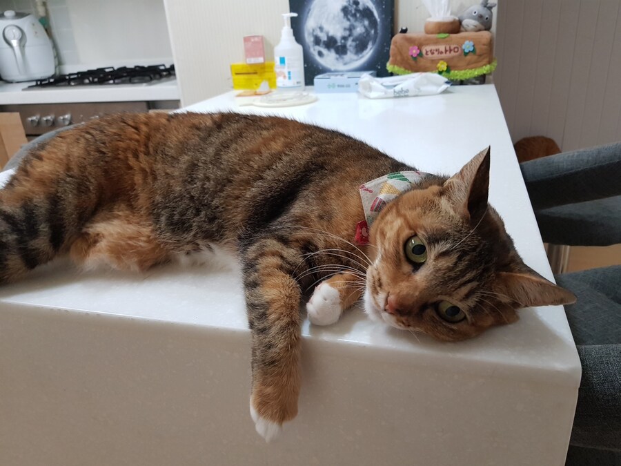 [26학번 새내기] 안녕하새오~ 새내기애오_17.jpg