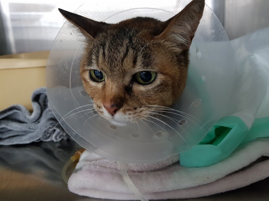 [26학번 새내기] 안녕하새오~ 새내기애오_19.jpg