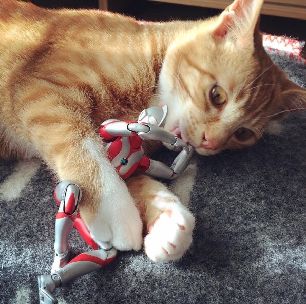 울트라맨과 성장하는 괴수_9.jpg