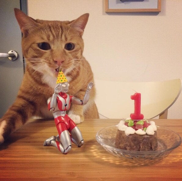 울트라맨과 성장하는 괴수_12.jpg