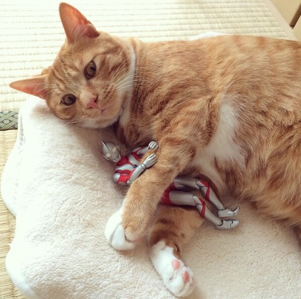 울트라맨과 성장하는 괴수_13.jpg