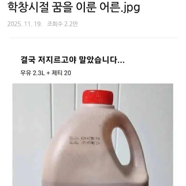 어릴때는 하고 싶지만 어른이되면 정작 안하는것_1.webp