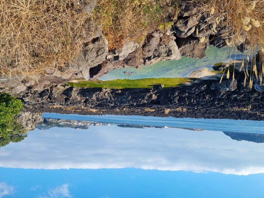 엄청 오랜만의 제주도_7.jpg