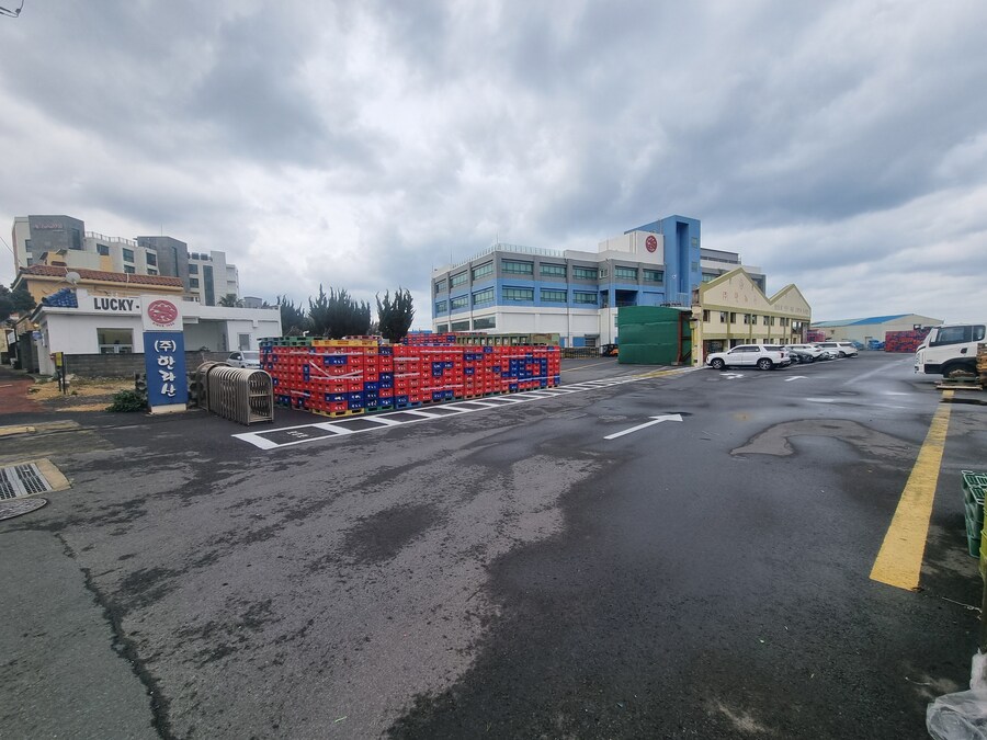 엄청 오랜만의 제주도_13.jpg