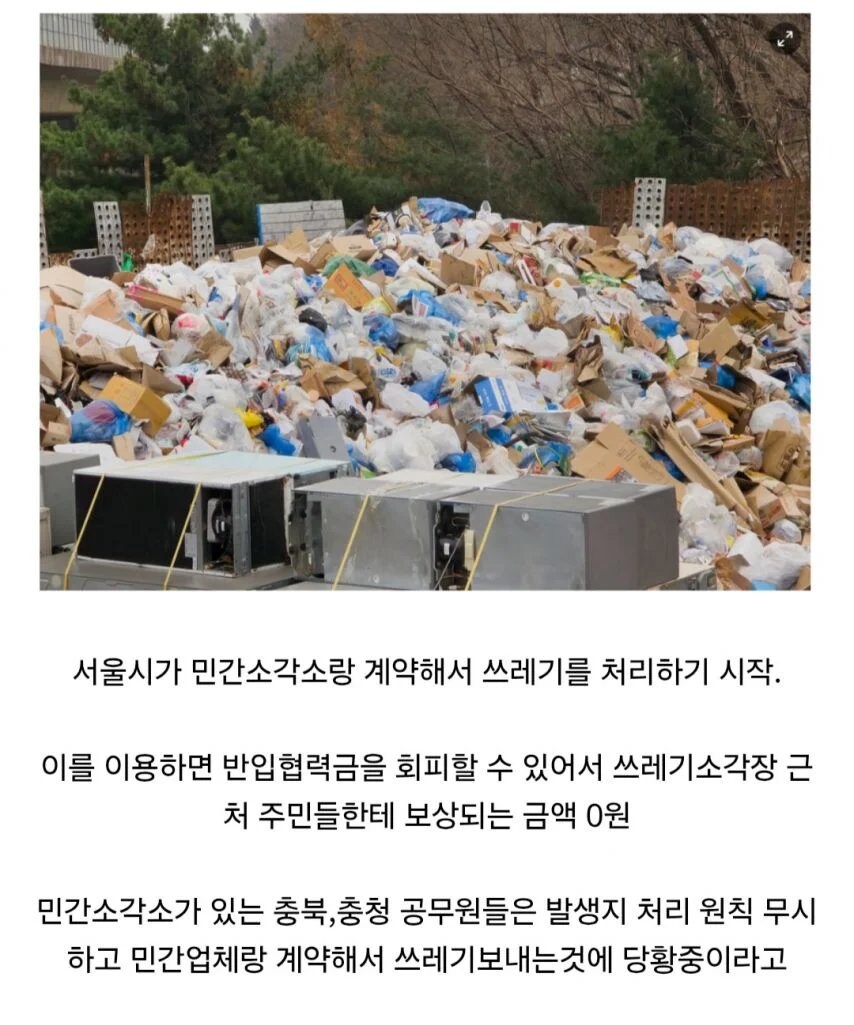 쓰레기 문제 서울 시민들은 다행인 줄 알아야함..._1.jpg