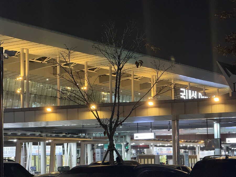 25년 11월 제주 여행_1.jpg