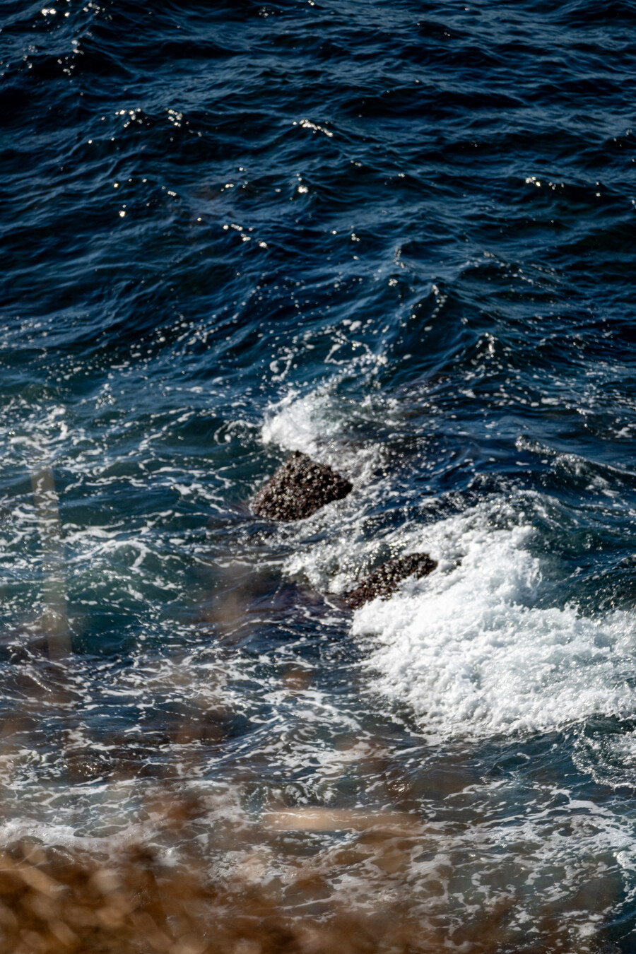 25년 11월 제주 여행_11.jpg