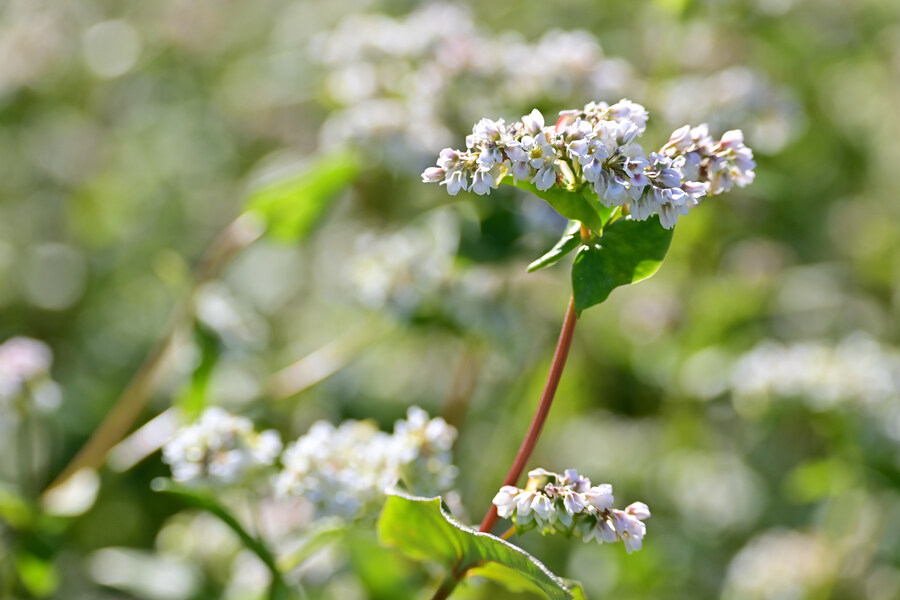 25년 11월 제주 여행_44.jpg