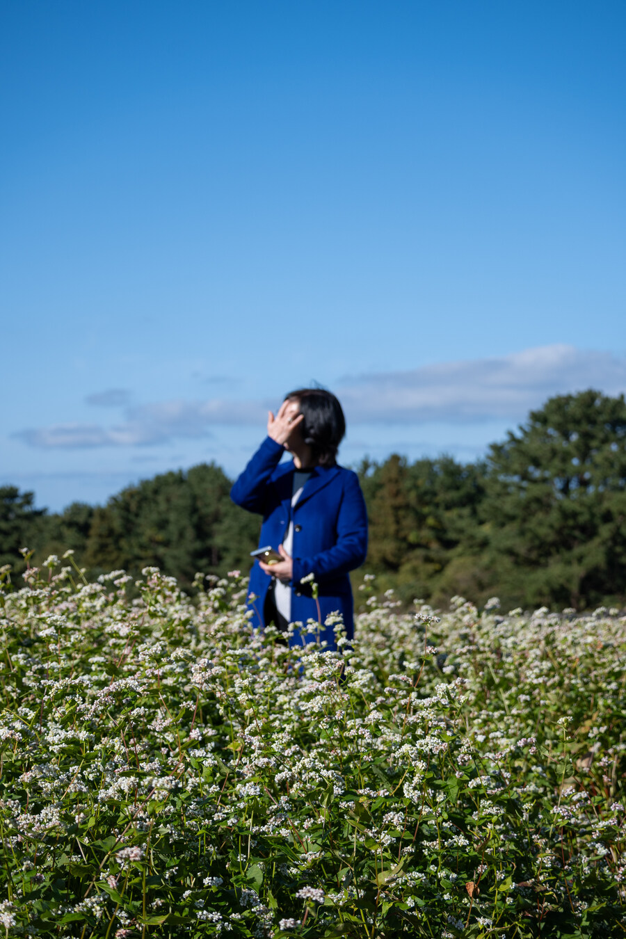 25년 11월 제주 여행_47.jpg