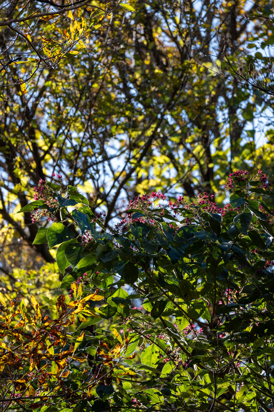 25년 11월 제주 여행_52.jpg