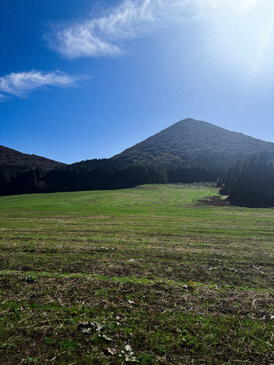 25년 11월 제주 여행_57.jpg