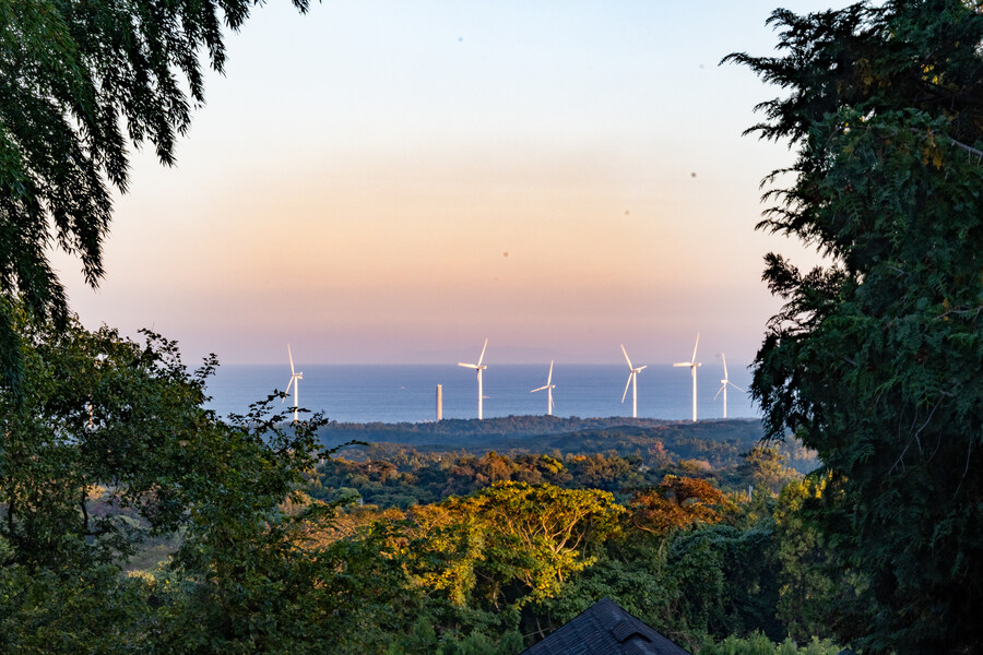 25년 11월 제주 여행_85.jpg