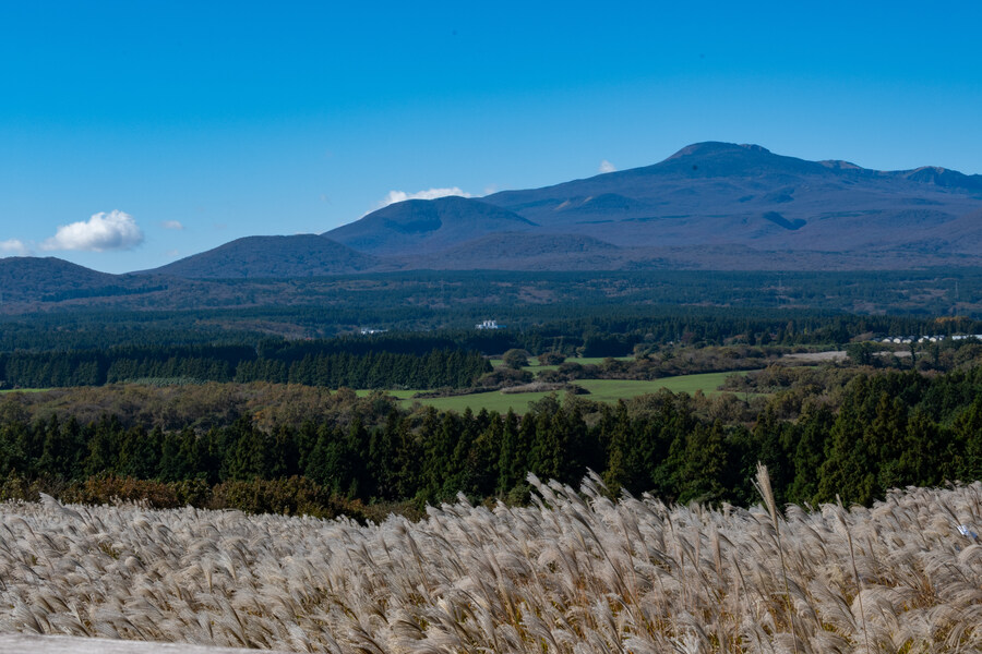 25년 11월 제주 여행_88.jpg