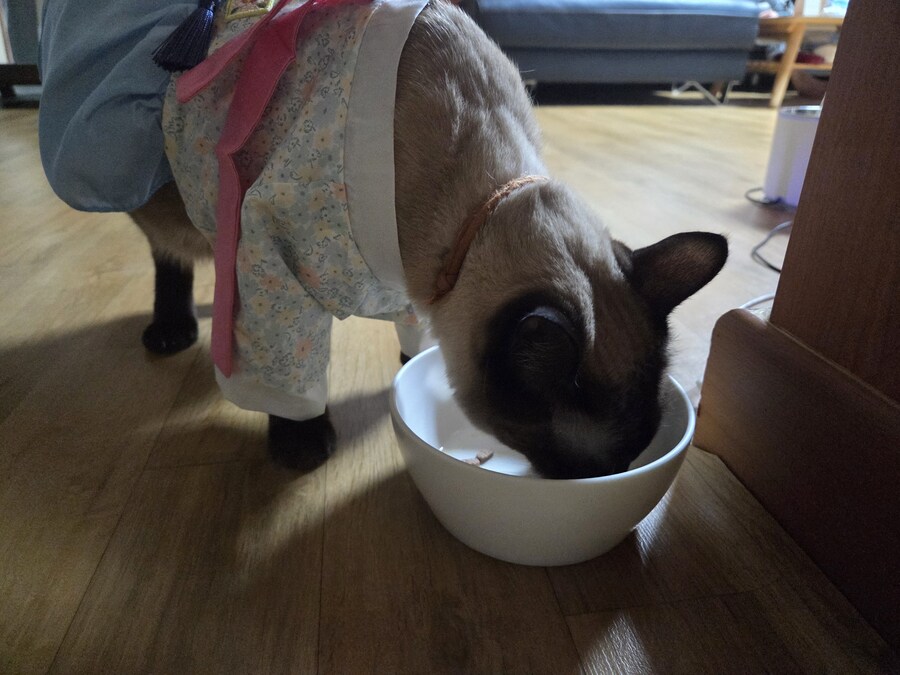 태국 오토코노코 하의실종 한복차림 ㄷㄷㄷ_2.jpg