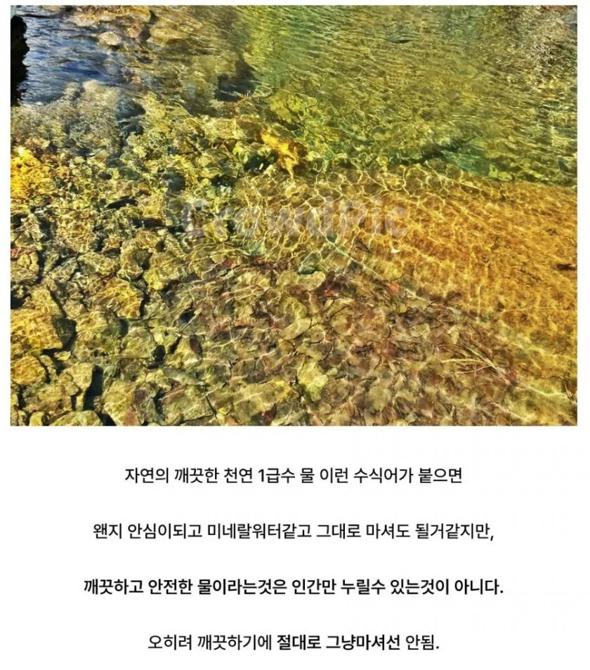 사람들이 깨끗한 물을 보고 흔히 하는 오해_1.jpg