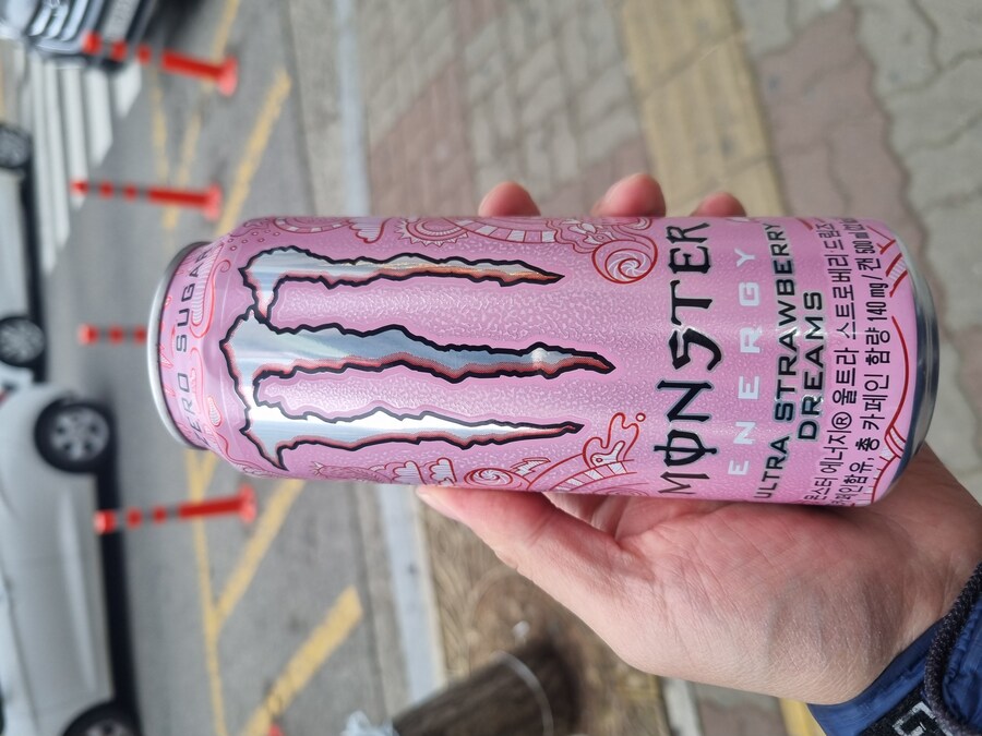 새로? 나온몬식이_1.jpg