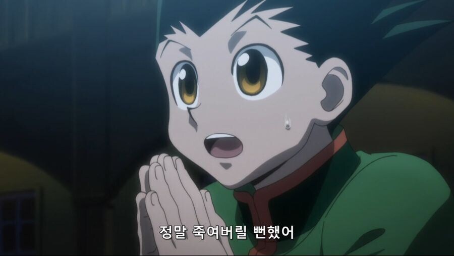 헌터x헌터]꼬맹이가 허세는ㅋ_17.jpg