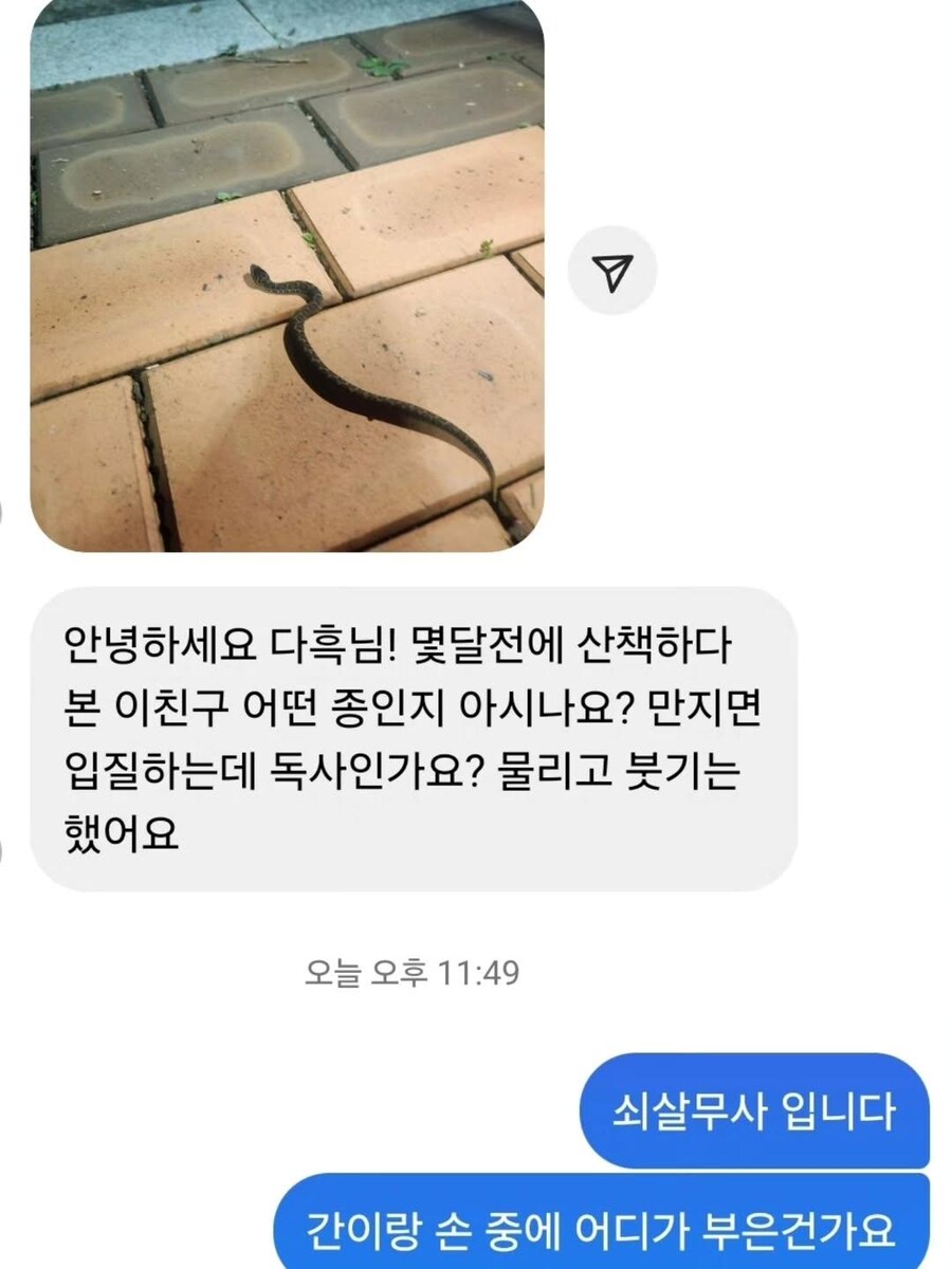 오늘자 파충류 유튜버 구독자 레전드 ㄷㄷ_2.jpg