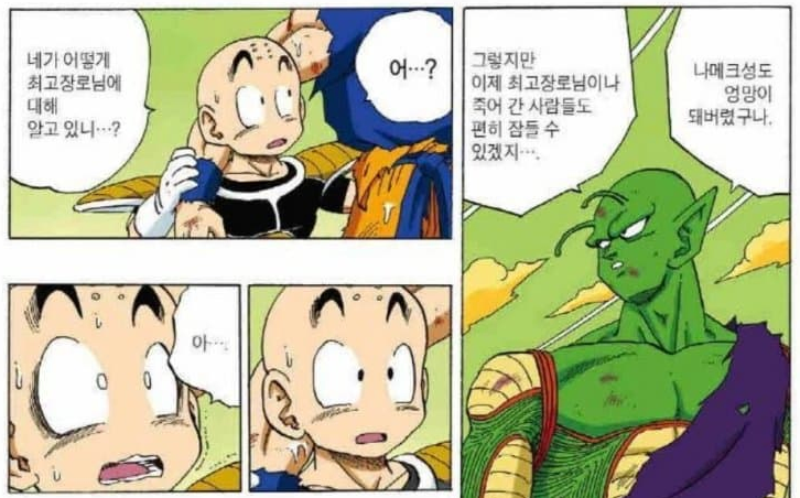 드래곤볼) 새로운 밈이 생긴 캐릭터_4.webp