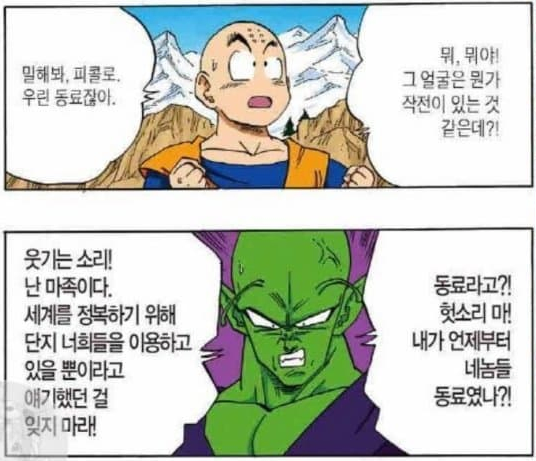 드래곤볼) 새로운 밈이 생긴 캐릭터_18.webp