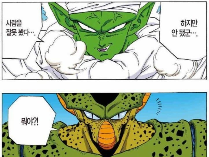 드래곤볼) 새로운 밈이 생긴 캐릭터_24.webp