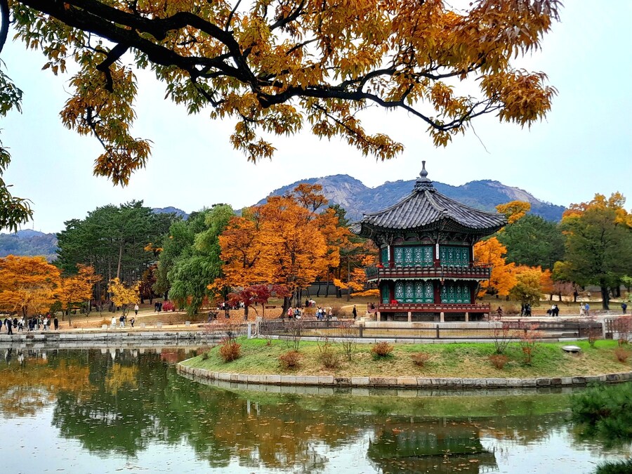 경복궁 가볼만하냐는 글이 있어서_1.jpg