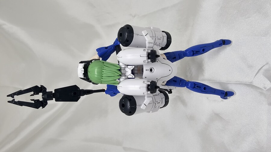 노틸리카 트라틸리카 & 시아나 아마르시아_5.jpg