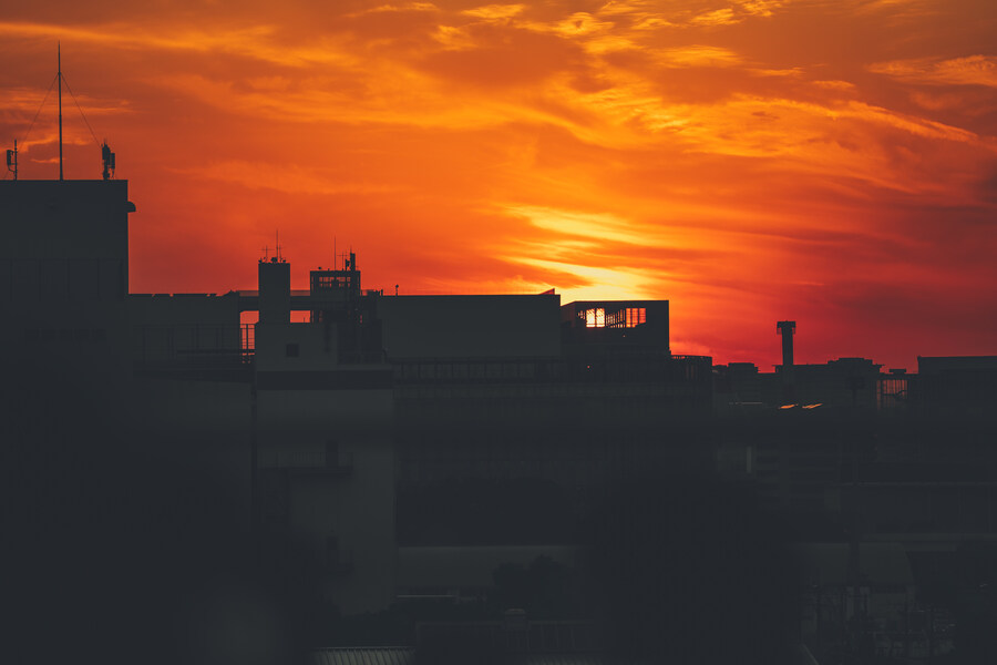 푸른 눈의 여친과의 도쿄 여행_52.jpg