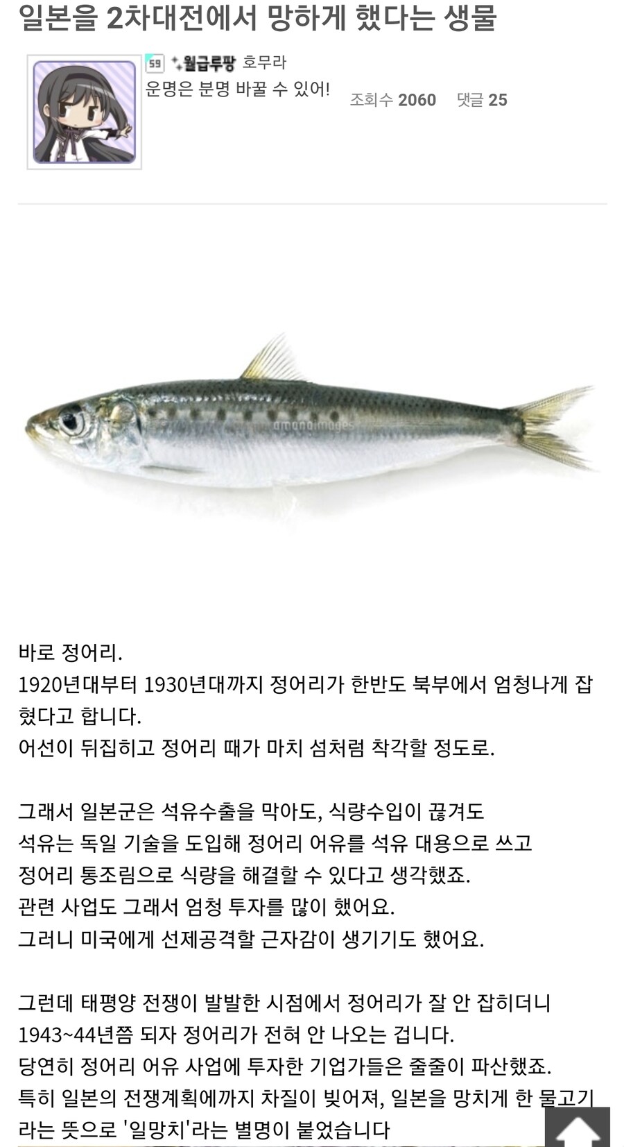 일본을 2차대전에서 망하게 했다는 물고기.jpg_1.jpg