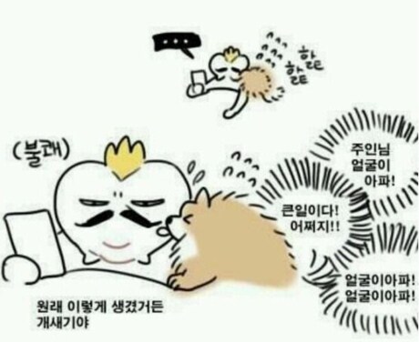 누가 소개팅 시켜준다고 함_1.png