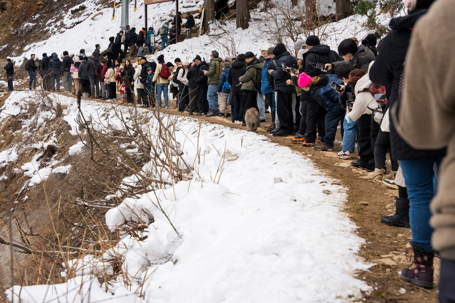 푸른 눈의 여친과의 도쿄 여행_98.jpg