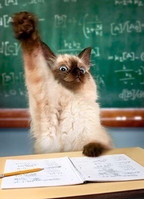 저격)유게에서 대놓고 혐오표현 쉴드치던 유저_2.jpg