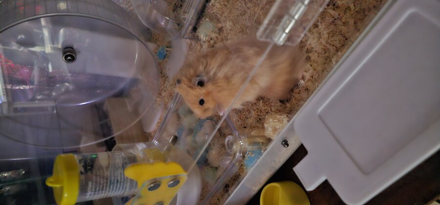 탭갈)오늘 출근하는 사람들 조심해야하는 이유_3.jpg