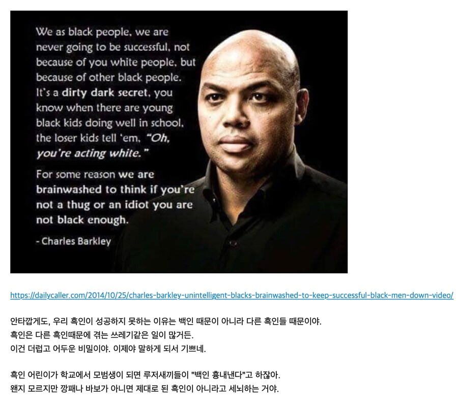 마이클조던이 흑인사회에서 지지를 못받았었던 이유_3.jpg