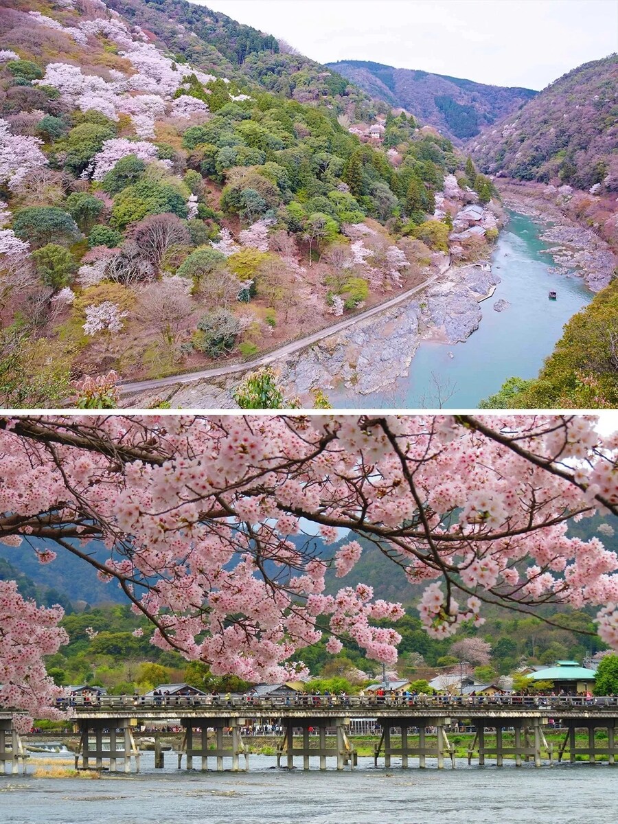 [요모] 벚꽃시즌 한정 오사카 가족여행 3박4일 138만원부터 #료칸 #가이세키_2.jpg