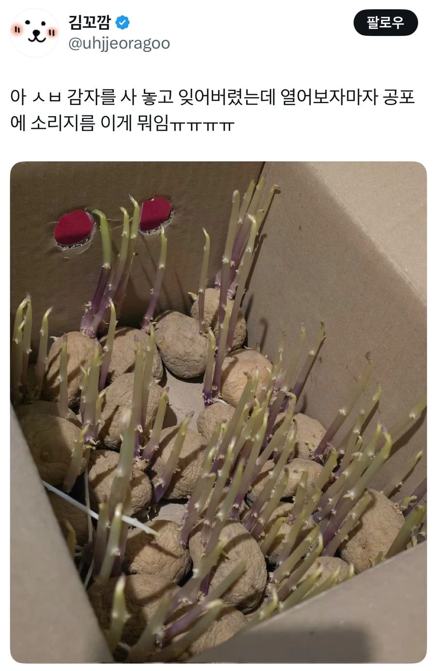 감자 사놓고 까먹은 사람때문에 지구 멸망 위기임.JPG_1.webp