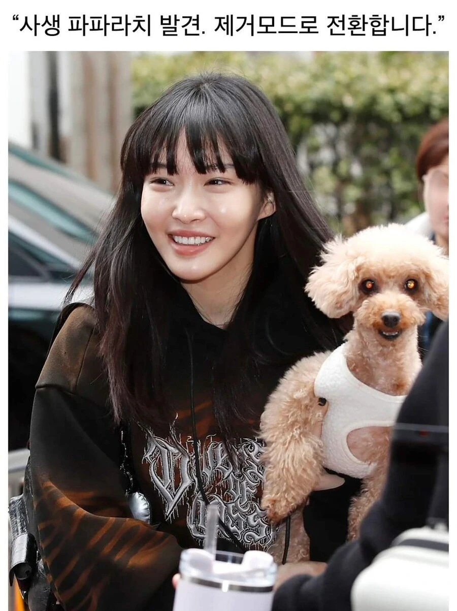 파파라치 대처법_1.webp