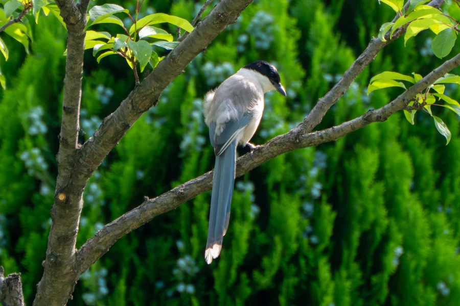 (스압) 한꺼번에 드랍~ 25년도 3분기 탐조_2.webp