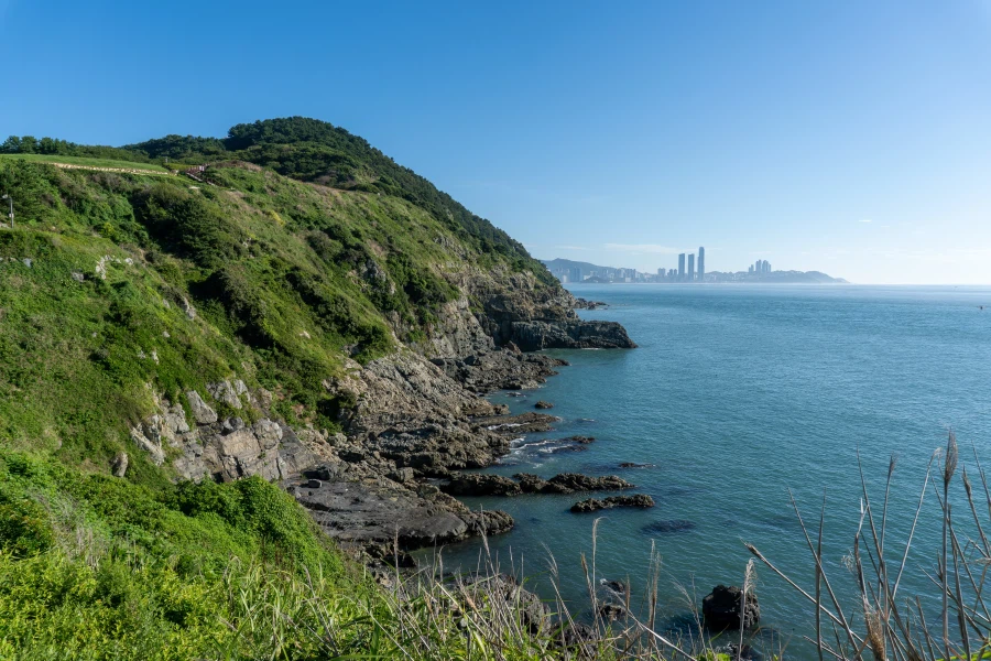 (스압) 한꺼번에 드랍~ 25년도 3분기 탐조_39.webp