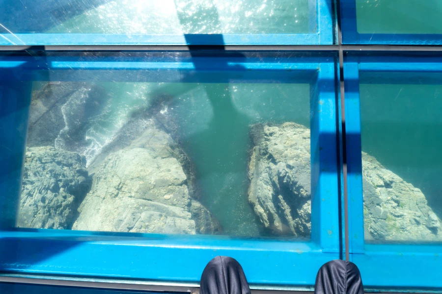 (스압) 한꺼번에 드랍~ 25년도 3분기 탐조_41.webp