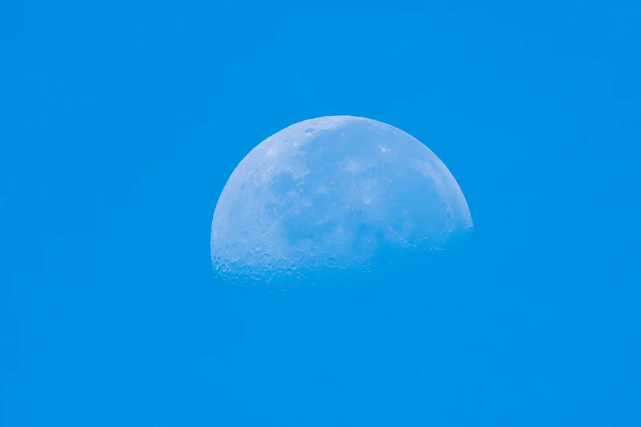 (스압) 한꺼번에 드랍~ 25년도 3분기 탐조_46.webp